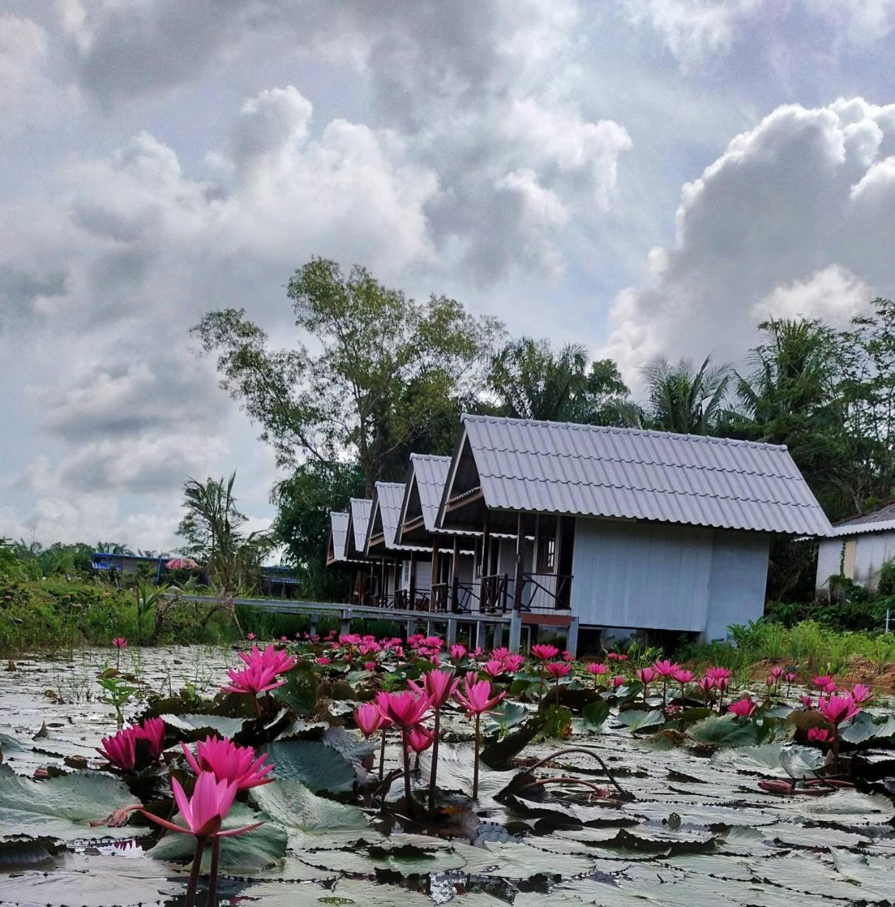 ปารมีฟาร์มสเตย์ Takuapa Kültér fotó