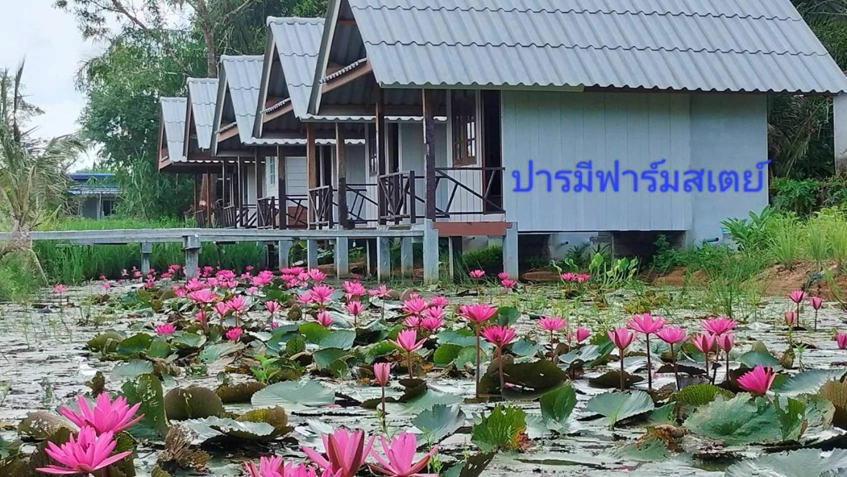 ปารมีฟาร์มสเตย์ Takuapa Kültér fotó